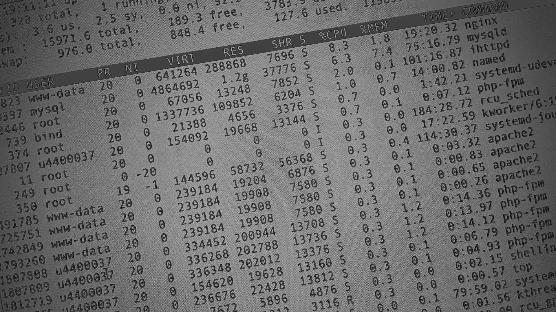 Настройка сервера в Яранске